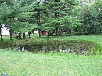 258 Indian Run Rd, New Ringgold, PA 17960 - photo 7