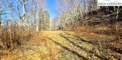 Lot 22 Ski Acres Dr, Blowing Rock, NC 28605 - photo 6