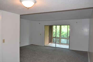 Main Living Area