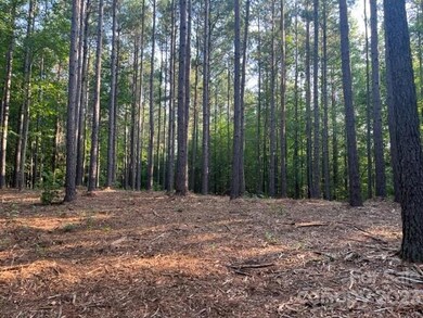 0 Manus Chapel Rd unit CAR4053894, Mill Spring, NC 28756 - photo 4