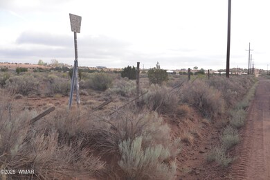 8272 Charolais Trail, Snowflake, AZ 85937 - photo 4