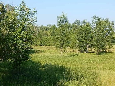 DSCN8018