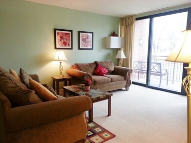 197 W Armitage Ave unit 101, Elmhurst, IL 60126 - photo 3