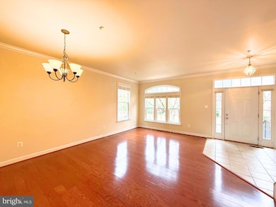 310 Ridgemont Ave, Rockville, MD 20850 - photo 5