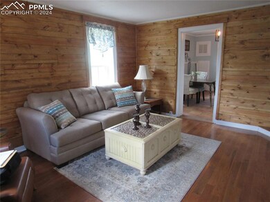 Living room featuring wood walls and dark hardwood