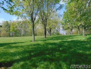16342 Buckland River Rd, Wapakoneta, OH 45895 - photo 4