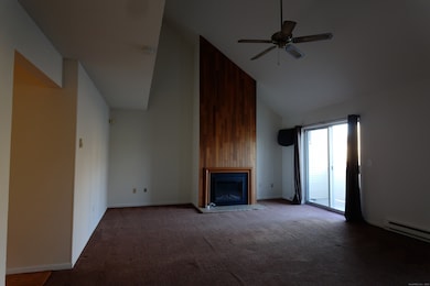 250 Willow Springs, New Milford, CT 06776 - photo 3