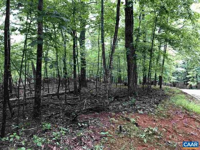 280 Foothills Dr, Nellysford, VA 22958 - photo 6