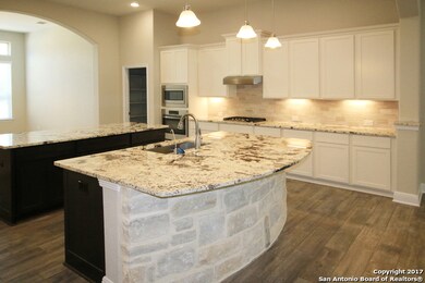 24106 Mateo Ridge, San Antonio, TX 78261 - photo 6