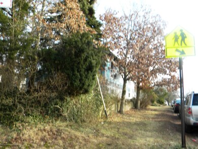 54 Latourette Missing Sidewalk