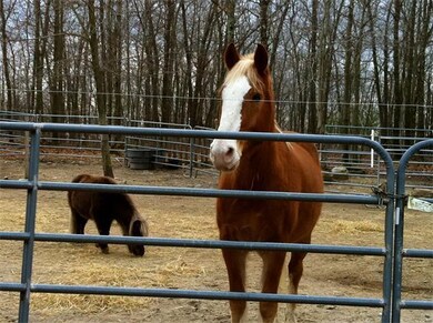 2 High St, Douglas, MA 01516 - photo 4