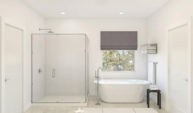 Primary Shower