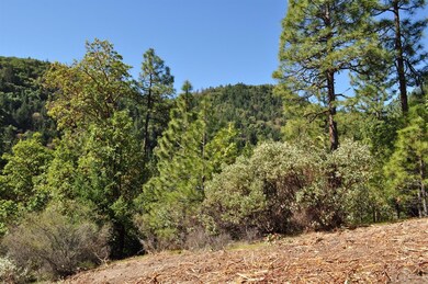 0 Pair-A-dice Ranch Rd unit 102988472, Jacksonville, OR 97530 - photo 7