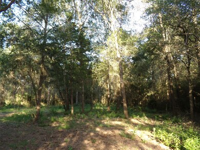 31068 Hegar Rd, Hockley, TX 77447 - photo 3