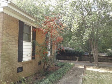 Birds love the Pyracantha!