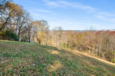 0 Floyd Rd, Franklin, TN 37064 - photo 6