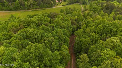 dji_fly_20250502_175756_0073_17462361609