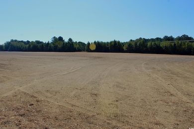 1 TBD Dew RD Dew Rd, Marion, SC 29571 - photo 4