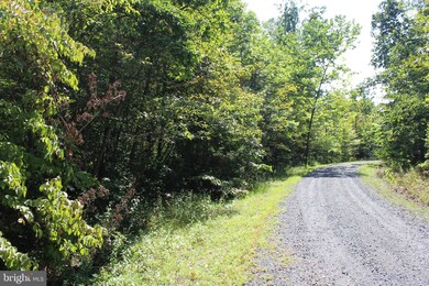 0 Brush Leaf Ln unit VASH121532, Mount Jackson, VA 22842 - photo 2