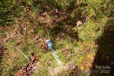 Property Marker at end of Pavement