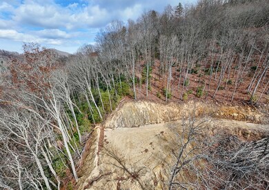 Lot 20 Walnut Cove Branch, Robbinsville, NC 28771 - photo 6