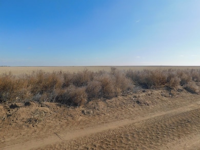SW 1/4 13-6N-13 SW Texas County, Guymon, OK 73942 - photo 5
