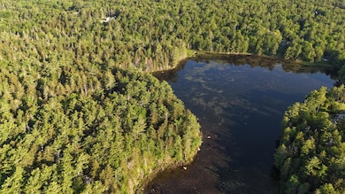 DJI_20250621065634_0005_D