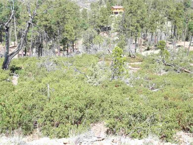 6210 Wildcat Trail, Show Low, AZ 85901 - photo 3