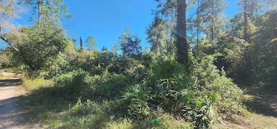 TBD N Edgeline Rd, Satsuma, FL 32189 - photo 3