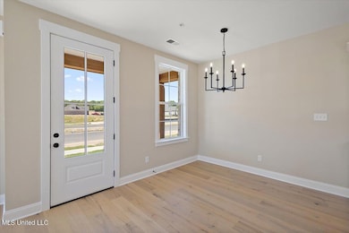 713 Bolivar Dr, Hernando, MS 38651 - photo 7