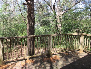 Back Yard/Deck
