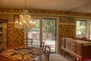 0 Sortais Rd unit 671792, Durango, CO 81301 - photo 5