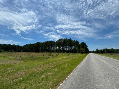 1 Confederate Hwy Parcel A, Fairfax, SC 29827 - photo 3