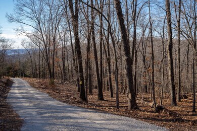 Table Rock Lake View Acreage
