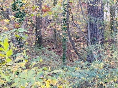 View of local wilderness
