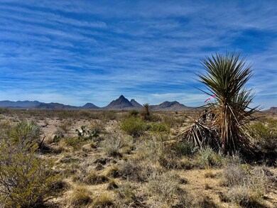 622 Marathon Rd, Terlingua, TX 79852 - photo 2