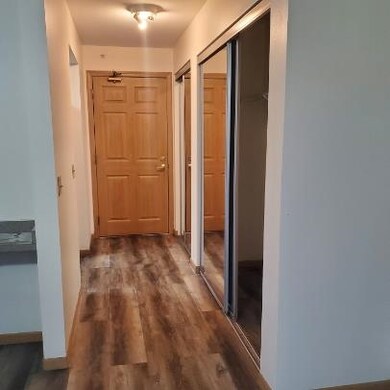 431 Water St unit 208, Prairie Du Sac, WI 53578 - photo 6