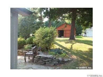 Backyard.