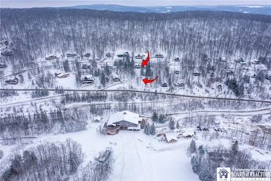 6710 & 6750 Upper Holiday Valley Rd, Ellicottville, NY 14731 - photo 2