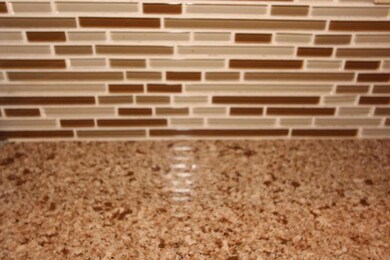 Quartz Counter with Back Splash