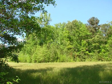 40.29 acres S Crater Rd, North Dinwiddie, VA 23805 - photo 4