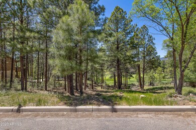 2410 N Broken Circle Rd-10