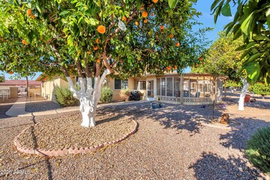Fruit trees in back yard