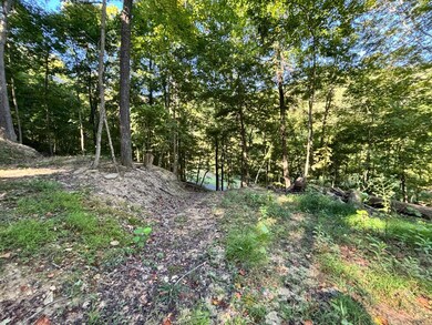 0 Coon Hollow Rd, Lucasville, OH 45648 - photo 6