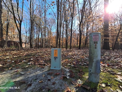 309 See View Ln, Hertford, NC 27944 - photo 7