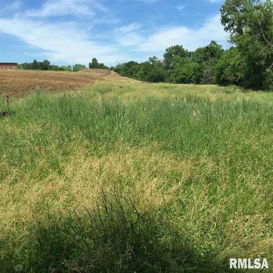 2503 Pheasant Creek Cir, Davenport, IA 52807 - photo 2