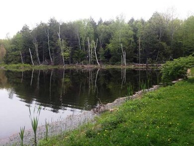 Land. Pond with Pine Trees surrounding it.