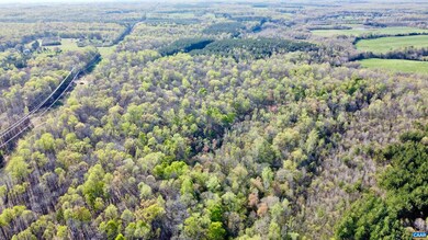 0 Owens Creek Rd unit 663057, Mineral, VA 23117 - photo 7