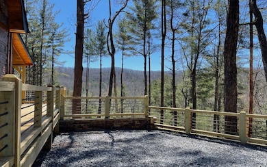 Additional View