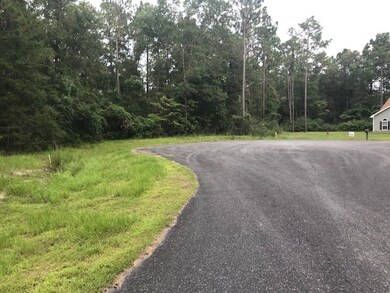 0 Hog Hedge unit 308876, Crawfordville, FL 32327 - photo 4